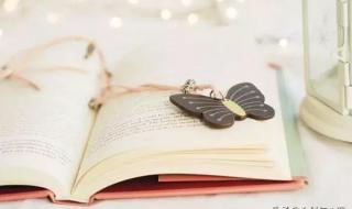 终于看开爱回不来 终于看开爱回不来